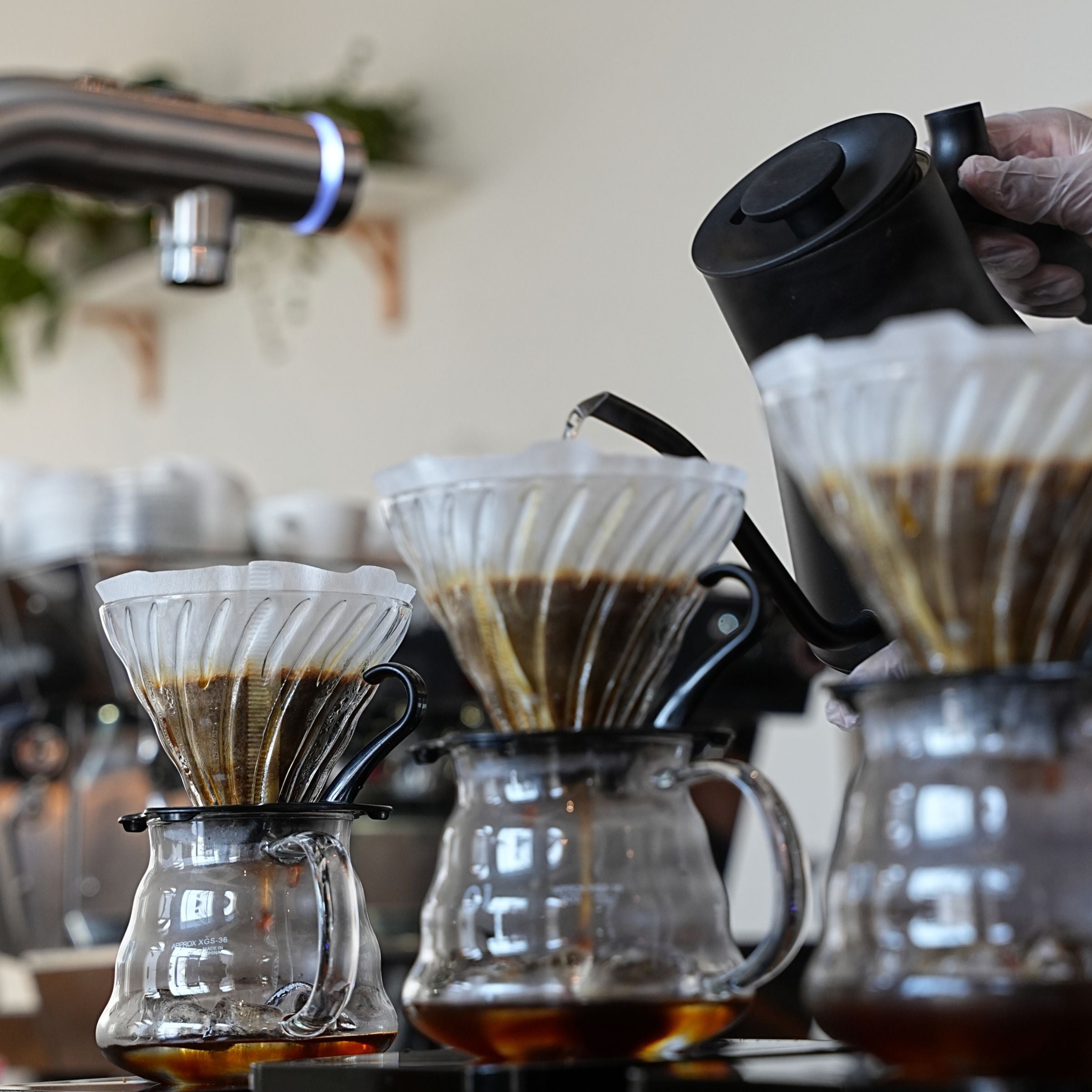 BREWING COURSE