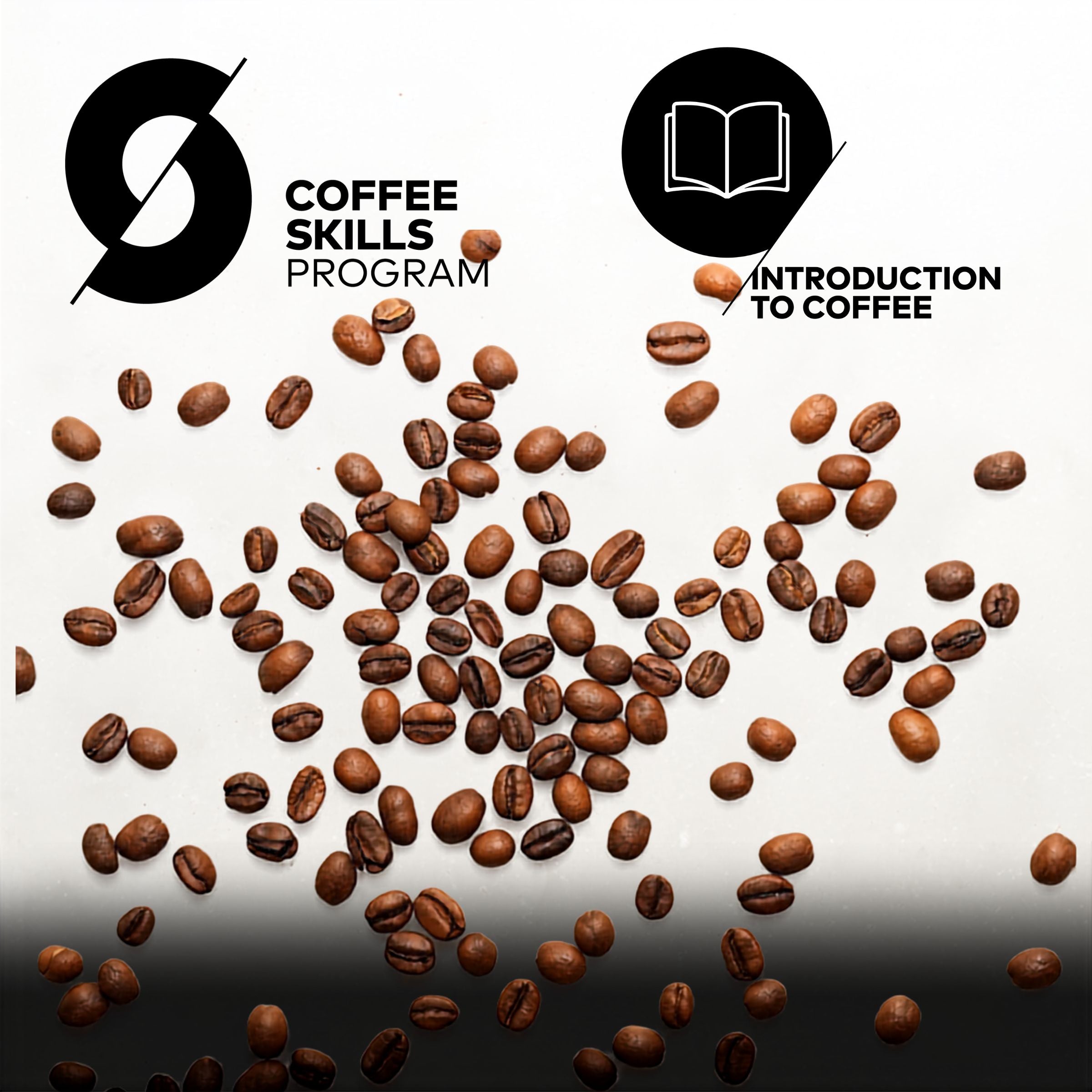 SCA INTRODUCTION TO COFFEE